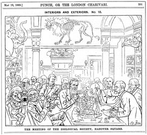 王立動物学会の会議、ハノーバースクエア、ロンドン、1885 作： Harry Furniss