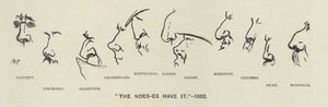The Noes-es（政治家の鼻）が持っている - 1883（リトグラフ）。 作： Harry Furniss