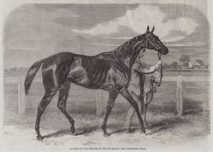 St Legerの勝者であるCaller Ou 作： Harry Hall