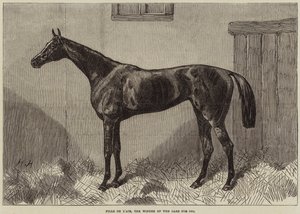 1864年のオークス賞を受賞したFille de l&39;Air 作： Harry Hall