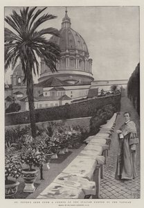 バチカンのイタリア庭園の隅から見た聖ペテロ 作： Harry Hamilton Johnston