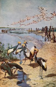 1822年にデンハムが見たチャド湖のノーザンショアーズ 作： Harry Hamilton Johnston