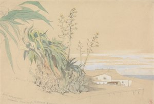 アロエとウチワ サボテン、タラゴナ、スペイン 作： Harry John Johnson