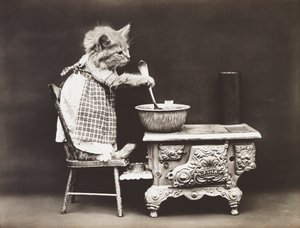 キティーシリーズ：クック・アット・ザ・ストーブ 1914年頃（シルバープリント） 作： Harry Whittier Frees