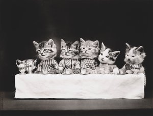 キティーシリーズ最後の晩餐 1914年頃（シルバープリント） 作： Harry Whittier Frees
