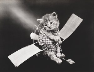 キティーシリーズ飛行機を飛ばすパイロット 1914年頃（シルバープリント） 作： Harry Whittier Frees
