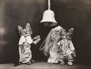 キティーシリーズウェディング 1914年頃 （シルバープリント） 作： Harry Whittier Frees