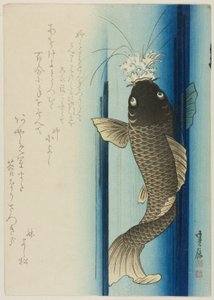 鯉の滝登り 作： Hasegawa Sadanobu