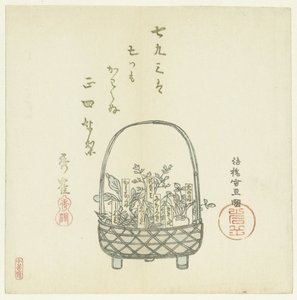 若い芽のバスケット 作： Hasegawa Settan