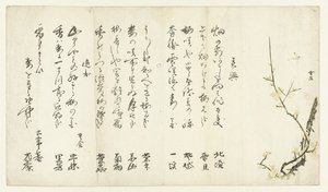 梅 作： Hasegawa Settan