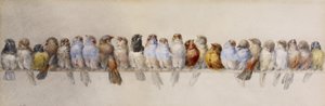 鳥のとまり木、1880年頃（紙に水彩とグラファイト） 作： Hector Giacomelli