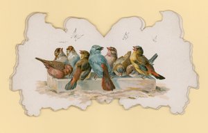 鳥（カラーリトグラフ 作： Hector Giacomelli