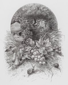 昆虫：カタツムリ（彫刻作品 作： Hector Giacomelli