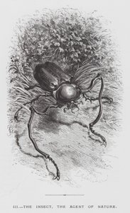 昆虫：自然の代理人である昆虫（彫刻作品 作： Hector Giacomelli