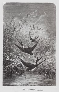 昆虫：その追求（彫刻 作： Hector Giacomelli