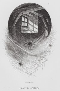 昆虫：クモ（彫刻 作： Hector Giacomelli