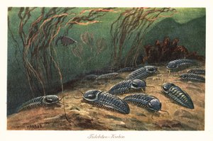海底にいた絶滅した三葉虫。 作： Heinrich Harder