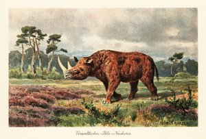 草原の絶滅した毛むくじゃらのサイ。 作： Heinrich Harder