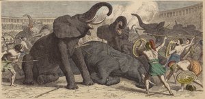 ローマの舞台で捕獲された象を殺害 作： Heinrich Leutemann