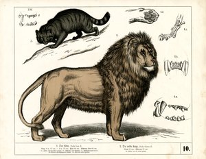  作： Heinrich Leutemann