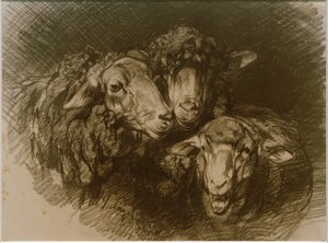 羊 作： Heinrich von Zügel