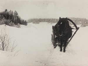 第一次世界大戦：「1914年から1916年にかけてのドイツ軍侵攻時のウクライナ。雪の中の馬車のそり（モノクロ写真 作： Heldenfriedhof Dsessentniki (attr. to)
