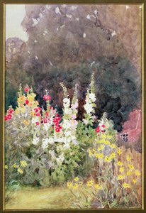 ホリーホック、 作： Helen Allingham