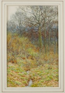私たちのプリムローズウッド、1913 作： Helen Allingham