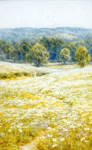 ケント州ウェスタハム近郊のオックスアイデイジー（水彩・紙 作： Helen Allingham
