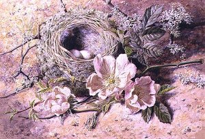 花と鳥の巣（水彩・紙 作： Helen Cordelia Coleman Angell