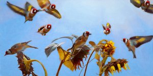 金魚鉢の魅力、2020年 作： Helen White