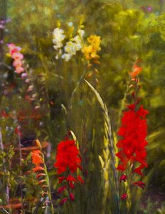 鉢植え小屋の横で、2020年 作： Helen White