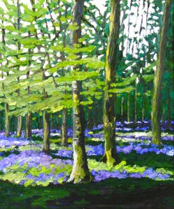 ブルーベルの森, 2009 (キャンバスに油彩) 作： Helen White