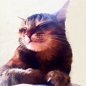 クリームを手に入れた猫、2018 作： Helen White