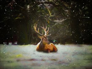 クリスマス鹿、2019 作： Helen White