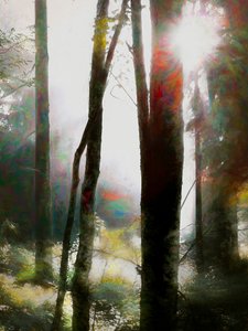 あえて信じる、2018 作： Helen White