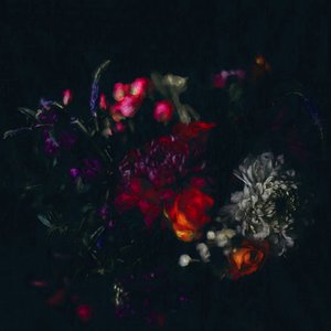 ダークフローラル、2019年 作： Helen White