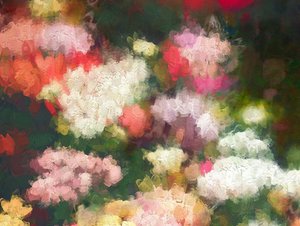 心の庭」2018年 作： Helen White
