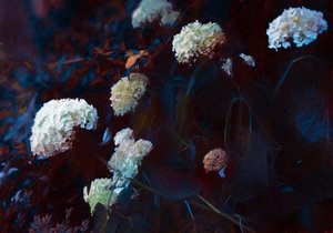 淡い月の光の中で、2019年 作： Helen White