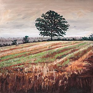 レイト アフタヌーン フィールド、2009 年 作： Helen White