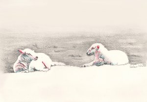 昼寝、2016、（鉛筆画） 作： Helen White