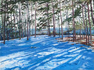雪に覆われた尾根、2009 作： Helen White
