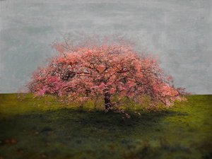 スタンドアローンビューティ、2019年 作： Helen White