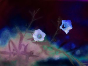 トランシエンス、2019年 作： Helen White