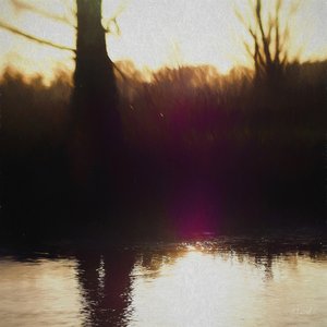 バイオレットヘイズ、2018、 作： Helen White