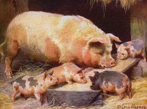 雌豚と子豚 (カラーリソ) 作： Helena J. Maguire