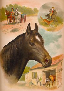 馬、c1900 作： Helena J. Maguire