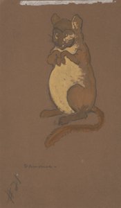 ヤマネ（『アリス・イン・ワンダーランド』の衣装デザイン、1915年） 作： Henderson, William Penhallow