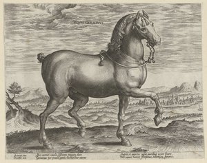 ドイツの種牡馬 Eqvvs Germanvs (オブジェクトのタイトル) オーストリアのドン ファンの王室厩舎の馬の品種 (シリーズ タイトル) Equile Ioannis Austriaci Caroli (シリーズタイトル) 作： Hendrick Goltzius (possibly)