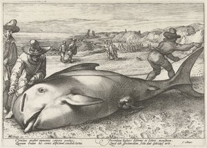 ザントフォールトの浜辺に座礁したゴンドウクジラ、1594 年 作： Hendrick Goltzius (workshop of)